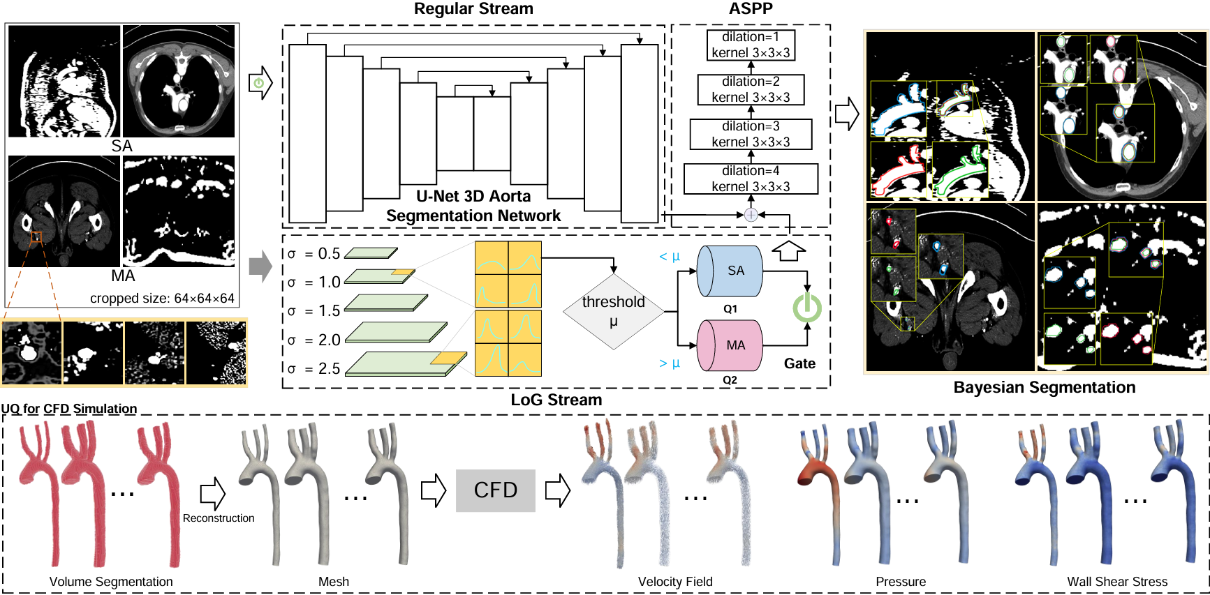 Hierarchical LoG Bayesian neural network for enhanced aorta segmentation
