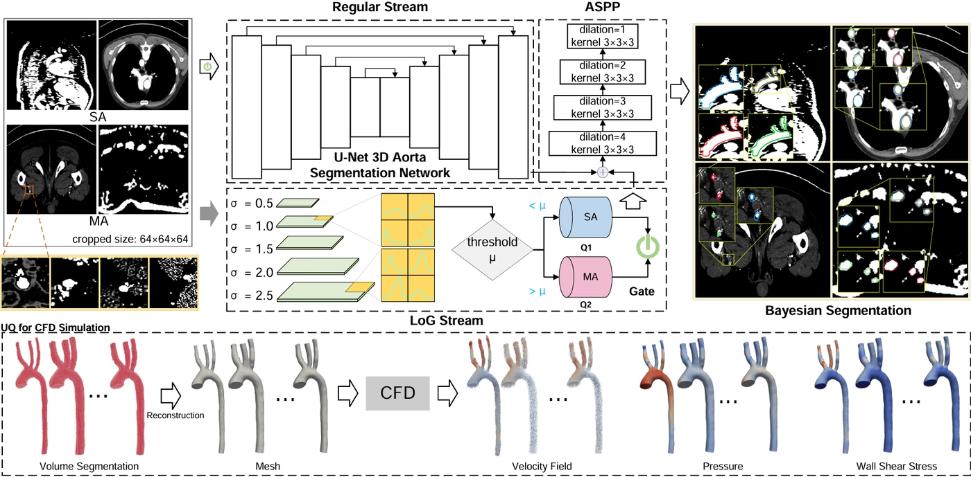 Visual abstract for Hierarchical LoG Bayesian neural network for enhanced aorta segmentation
